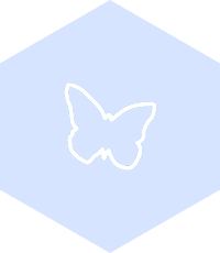 Сопровождение 1С в Новороссийске – 1С-UMI