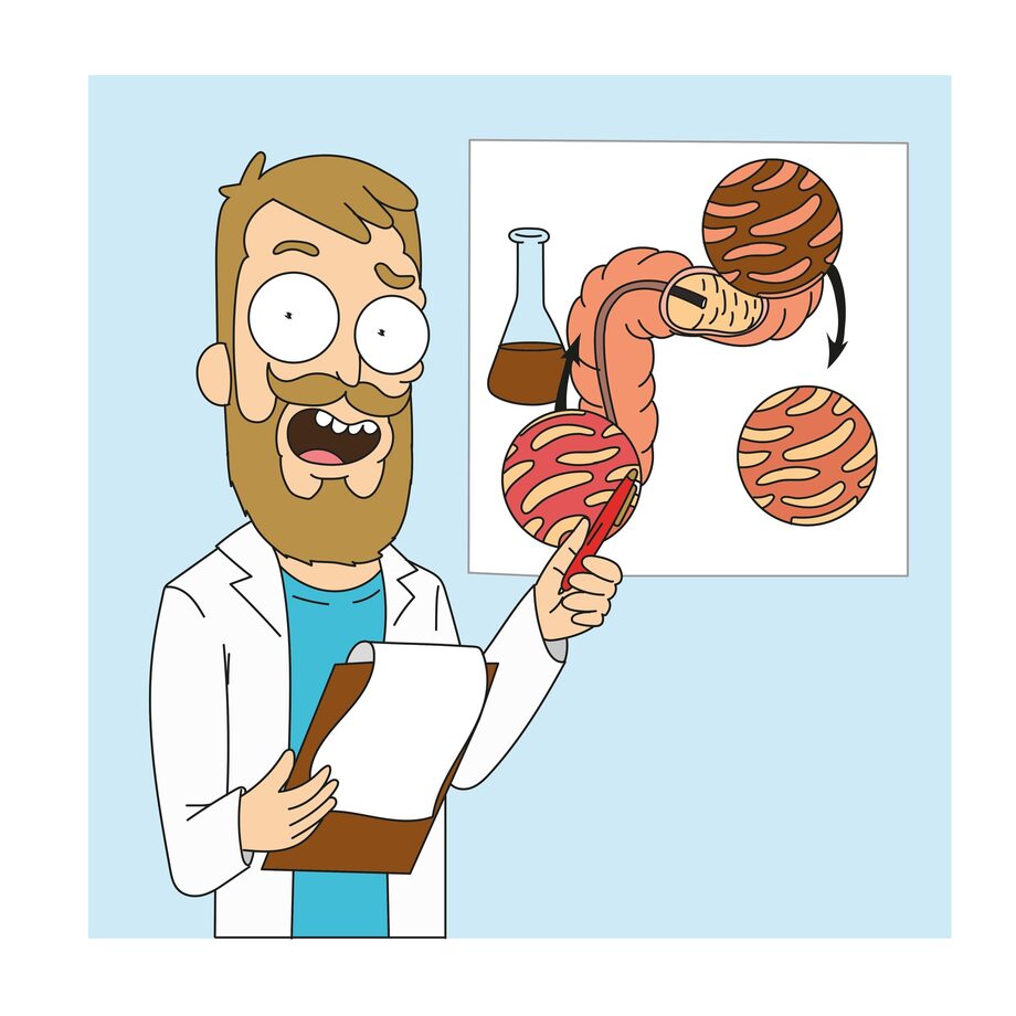 Лечение дисбактериоза кишечника после антибиотиков в Санкт-Петербурге и ...