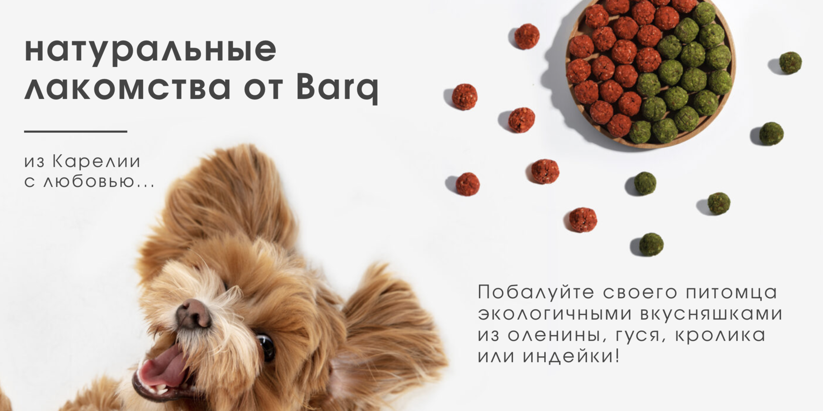 BARQ | Натуральные лакомства для собак и кошек