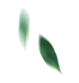 Листья падают