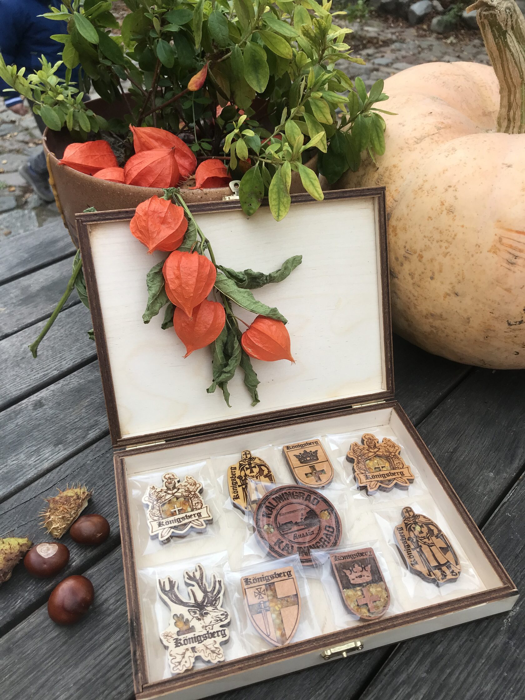 Магниты Кёнигсберг с янтарем