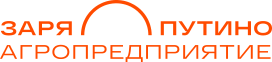 Company