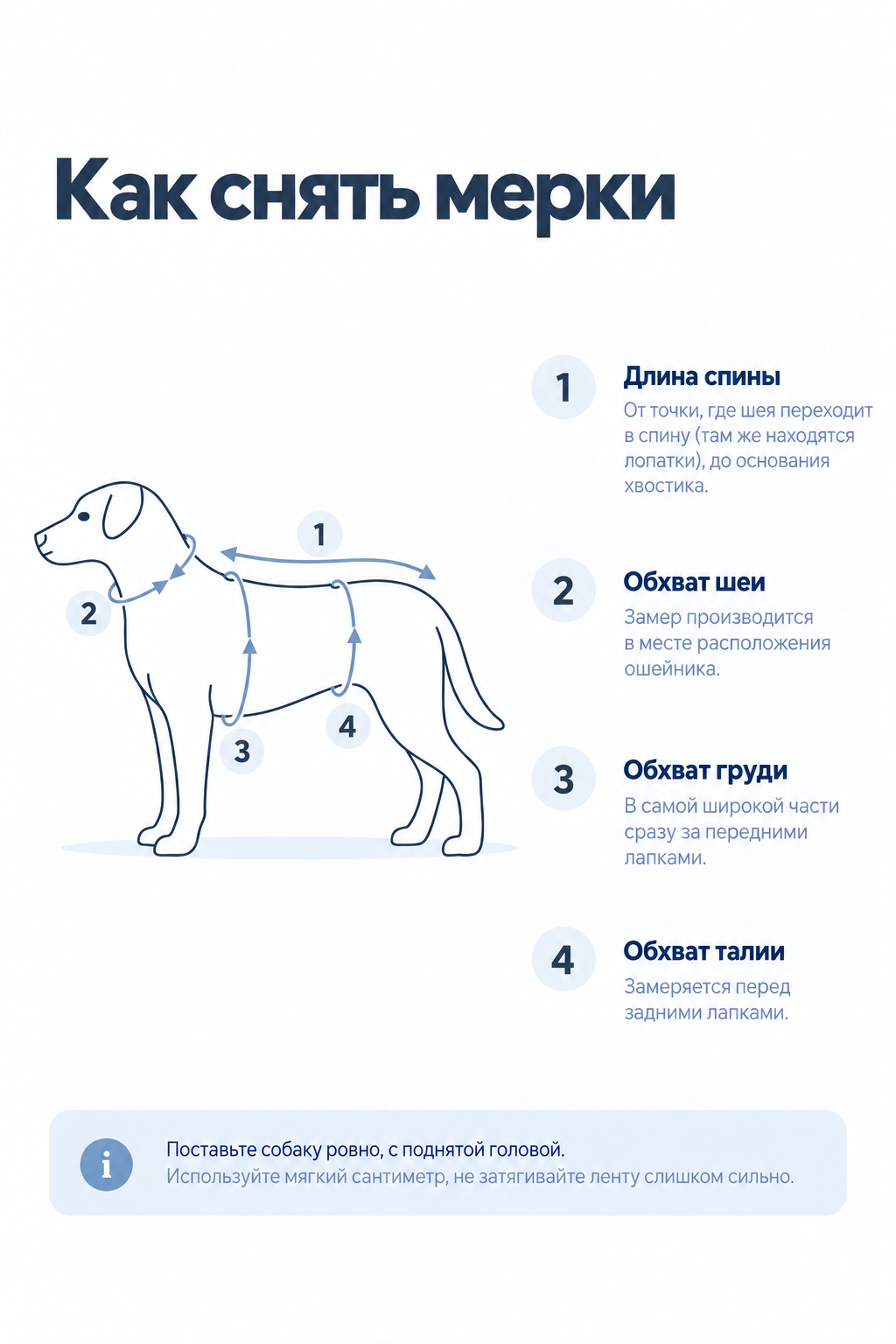 Мерки собаки 1–4