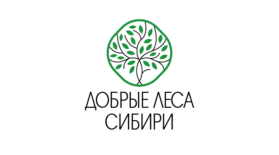 ДОБРЫЕ ЛЕСА СИБИРИ