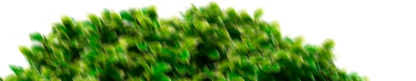 Зион – жилой комплекс в городе Иннополис