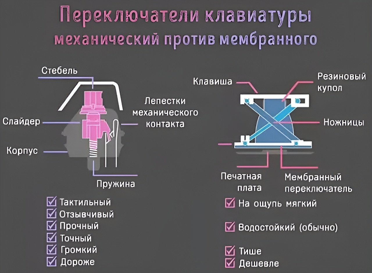 Конечно, вы можете возразить, что сейчас появились ещё и магнитные клавиатуры — тоже интересный экземпляр, но пока они не снискали особой популярности