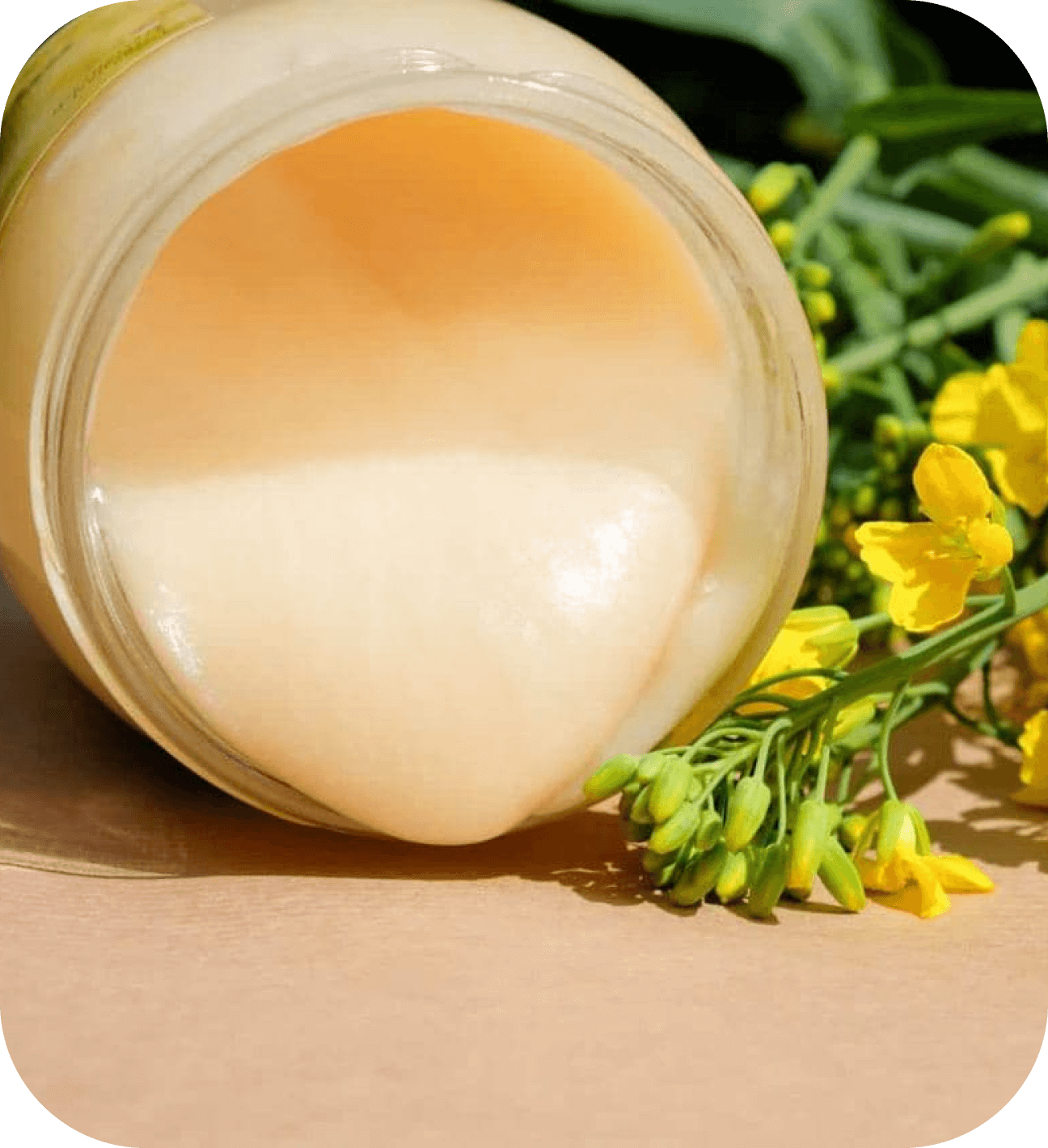 мед рапсовый