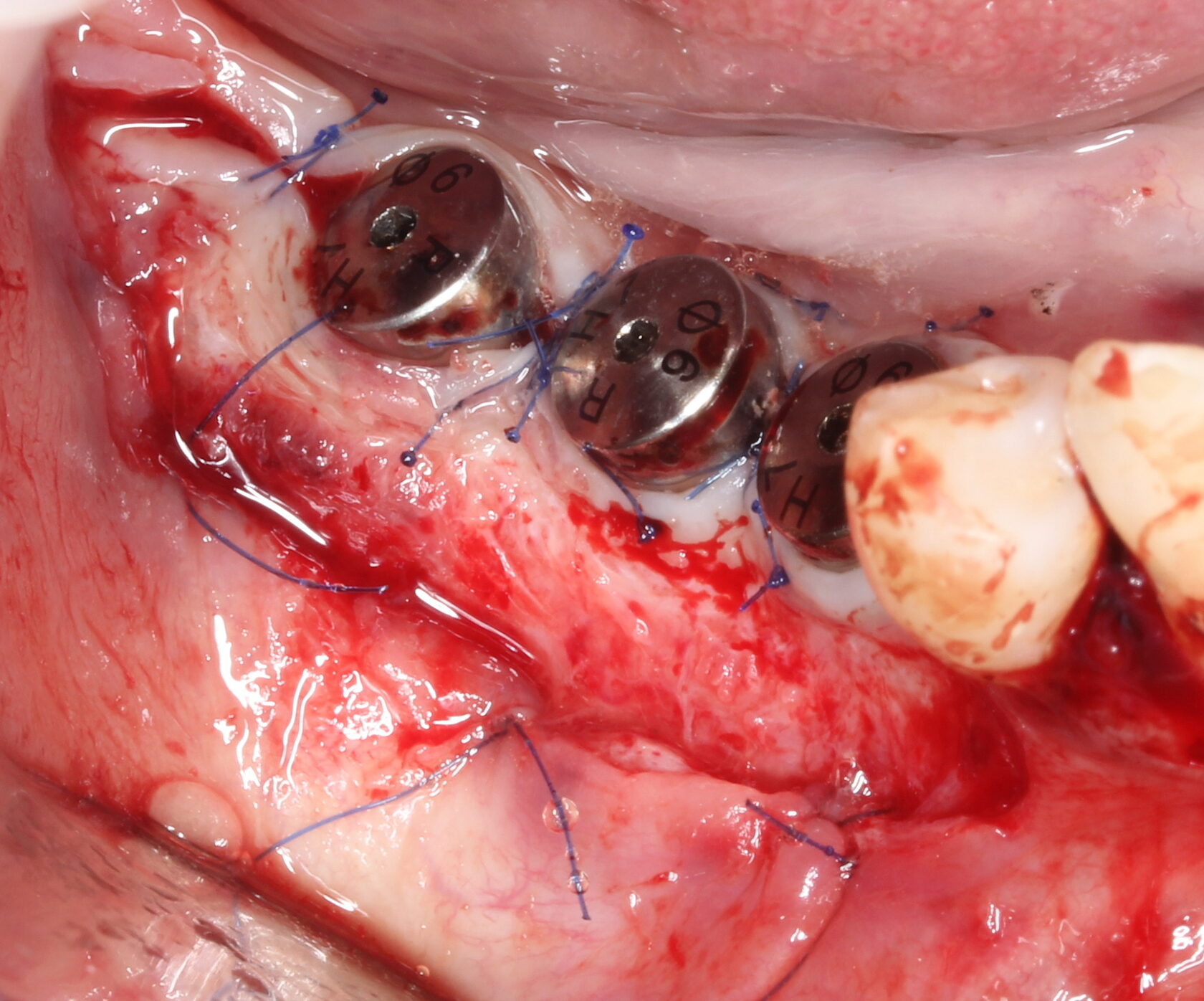 Фото с конференции 