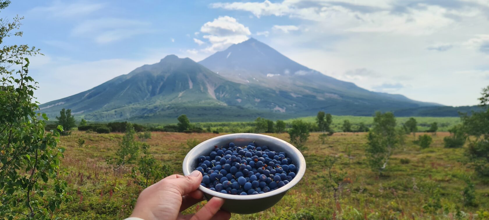 Экологический туризм на камчатке. Ходуткинские источники Камчатки. Камчатка поход. Вулкан Ксудач Камчатка. Путешествие на Камчатку.