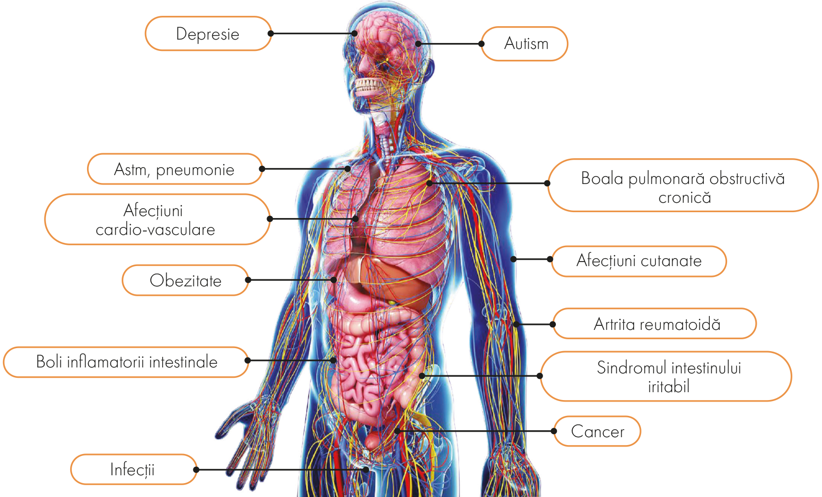 Analiza microbiotei intestinale GAmap® Dysbiosis Test