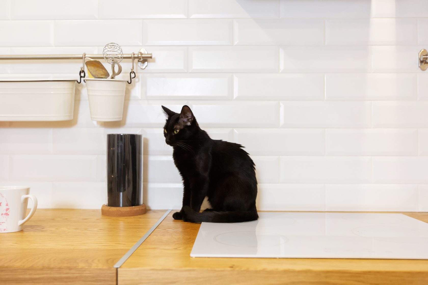 Наши готовые ремонты под ключ в жилых комплексах Воронежа