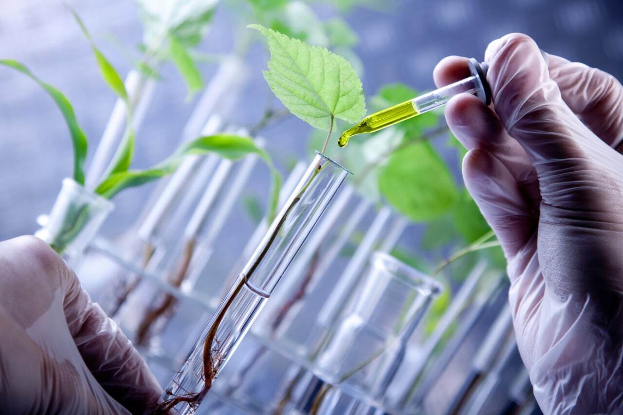 ПЦР-анализы на патогены растений и обнаружение ГМО-линий