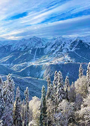 обучение на курорте газпром 2025