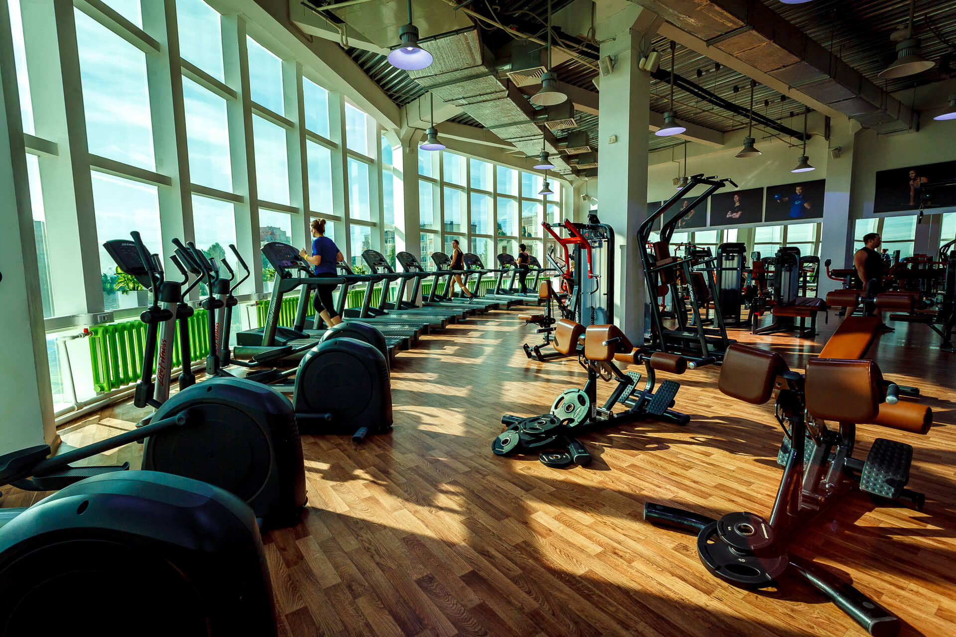 Ast Sports Science �������: ����.