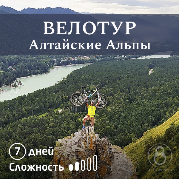 Максимальный актив