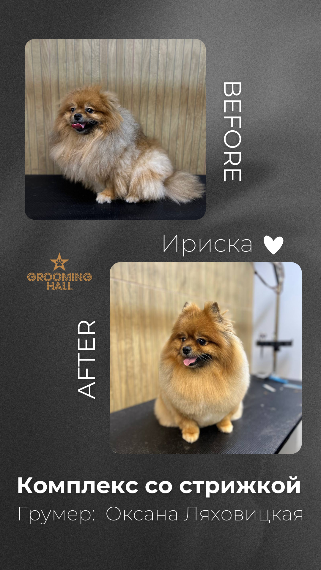 Grooming Hall | Груминг-салон для ваших питомцев на Полежаевской