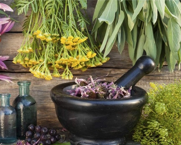 Семинар &amp;amp;quot;Медицина староверов&amp;amp;quot;