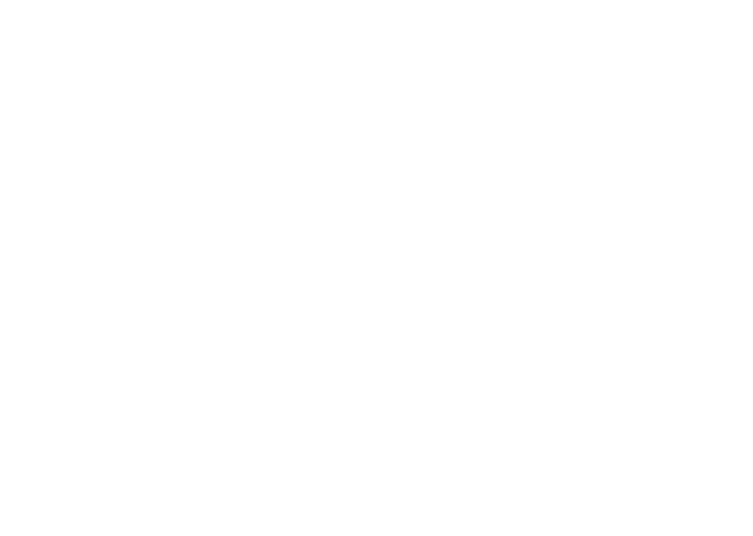 Логотип клиента: EGIS