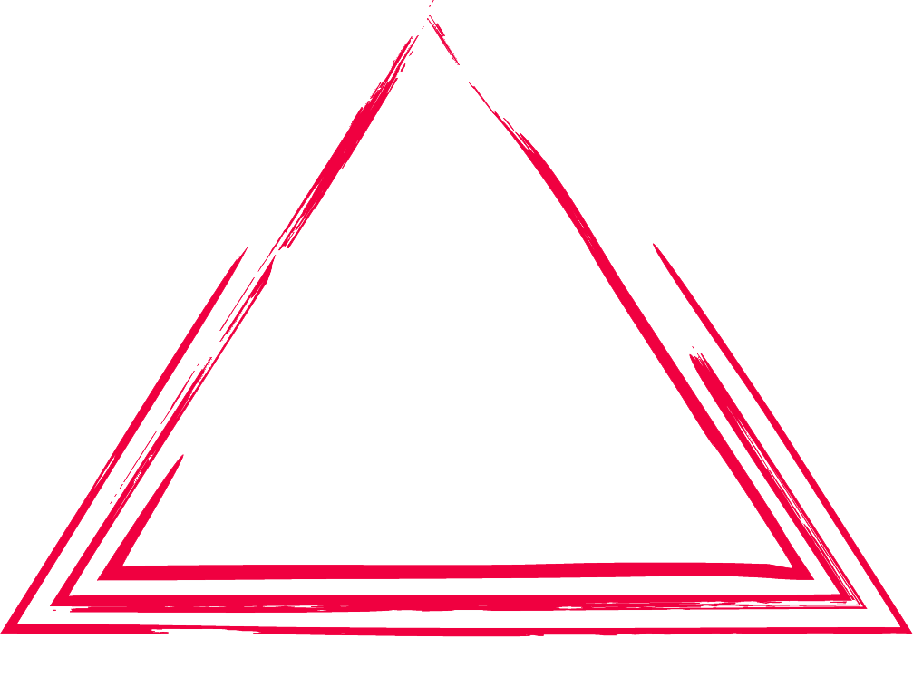  ЛАРИСА КОСТРОМИНА 