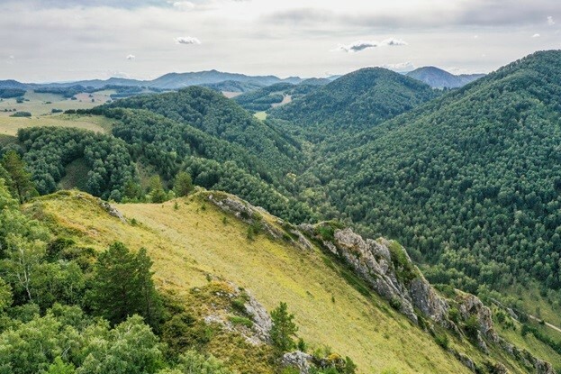 Лог алтайский край. Гора плешивая Алтайский край Алтайского района. Алтайскийкраай гора плешивая. Лысая гора Алтай. Гора плешивая Республика Алтай.