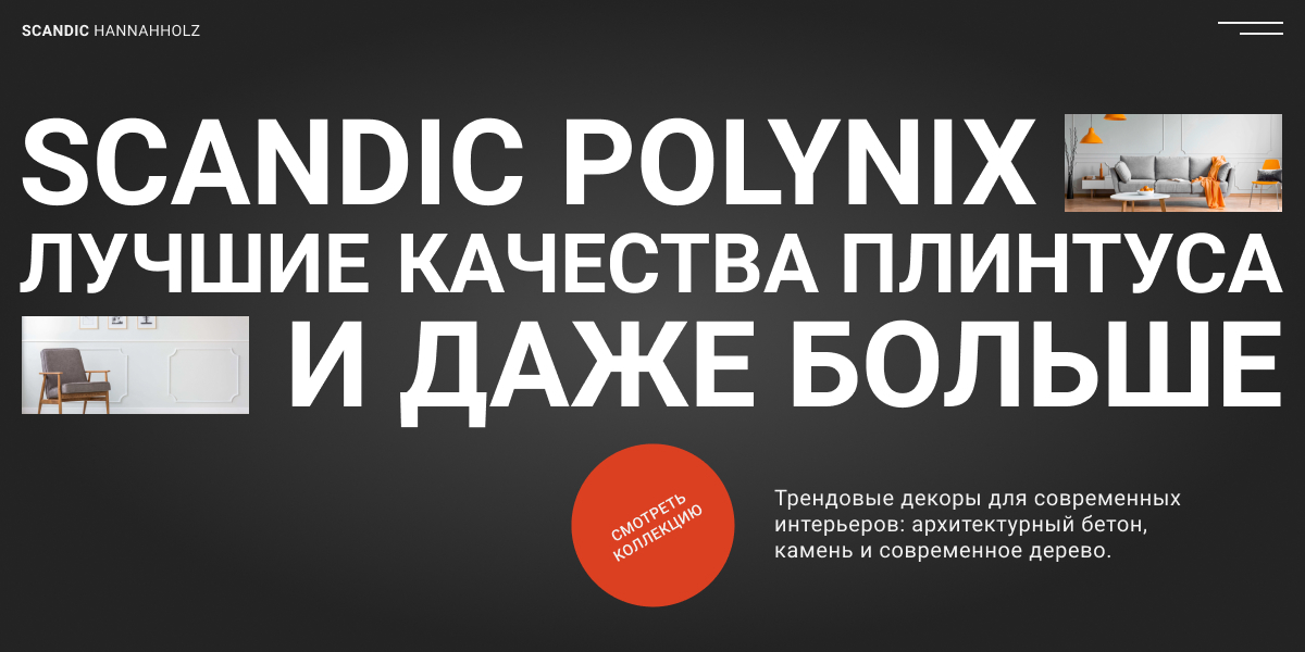 SCANDIC POLYNIX HANNAHHOLZ