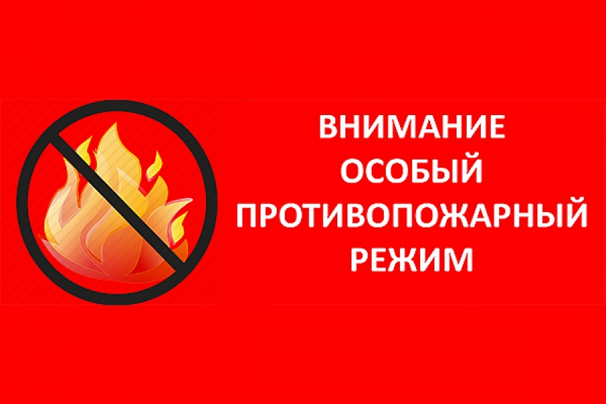 Мангальная зона в Лесогорье