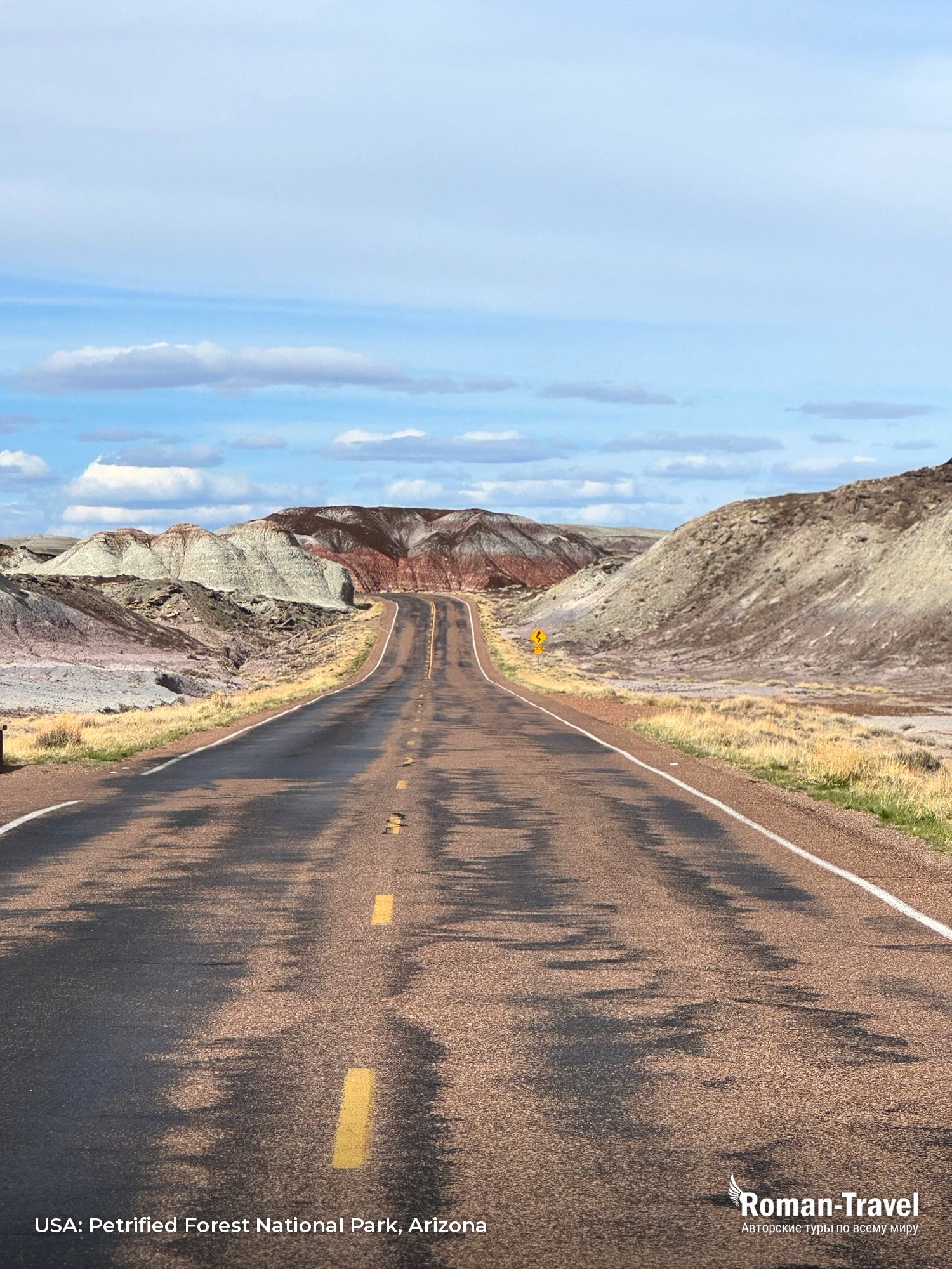 usa-petrified-forest-national-park-arizona
