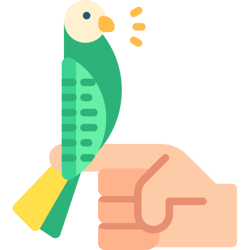 Иконка респираторных заболеваний у попугаев