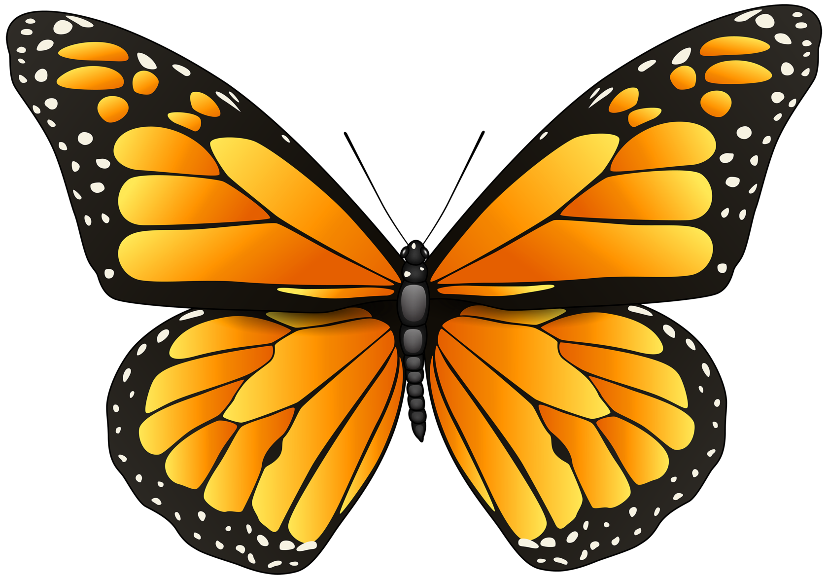 Clipart transparent butterfly