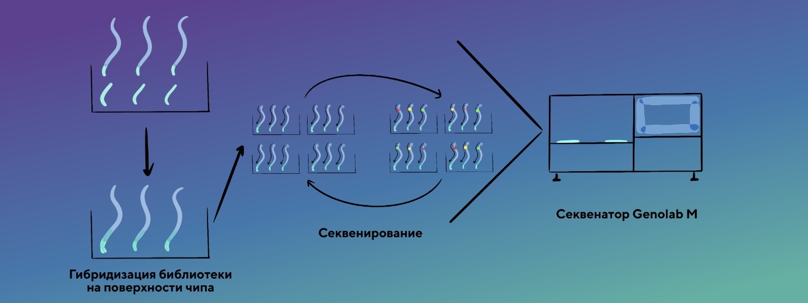 Обзор методов секвенирования - блог Sesana