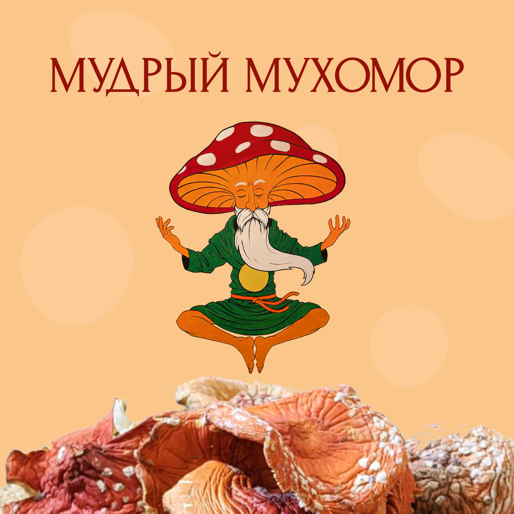 Купити Червоний мухомор капелюшки (сушений) в Україні. Мікродозинг ...