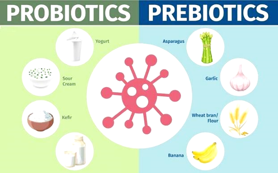 Продукты пребиотики и пробиотики. Пробиотики и пребиотики. Пребиотики и пробиотики для кишечника. Жидкие пребиотики и пробиотики. Турецкие пробиотики.
