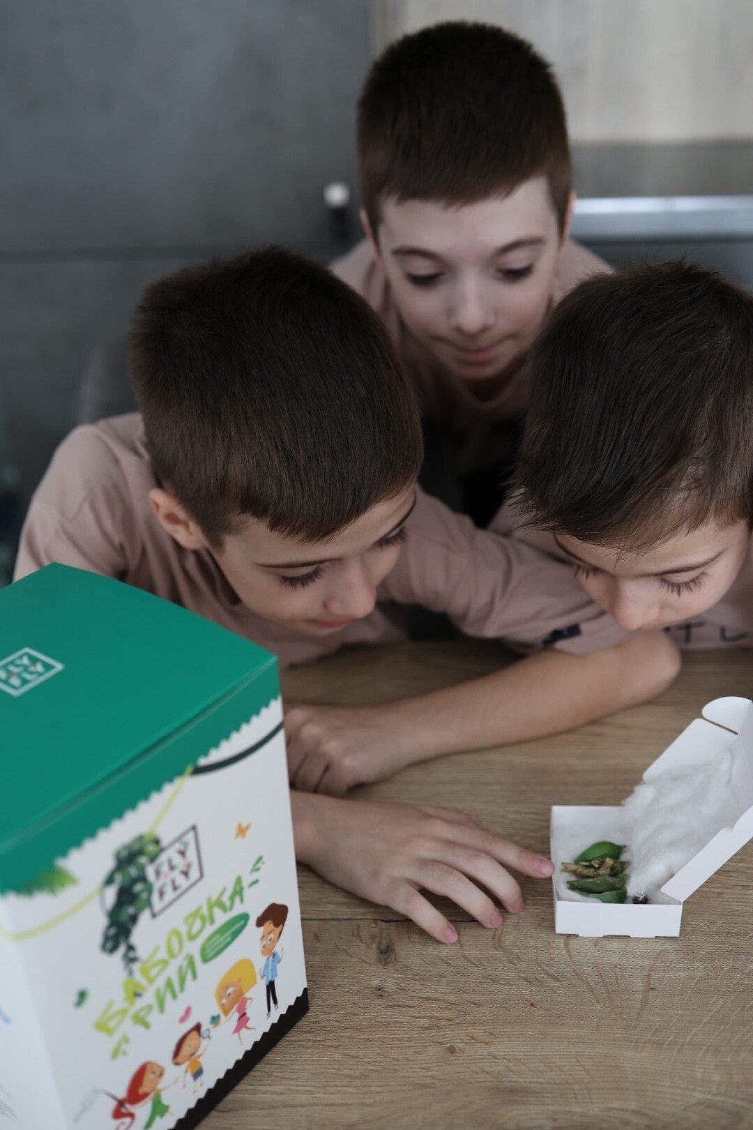 бабочкарий флай-флай