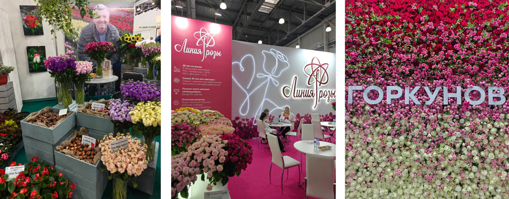 цветыэкспо 2025