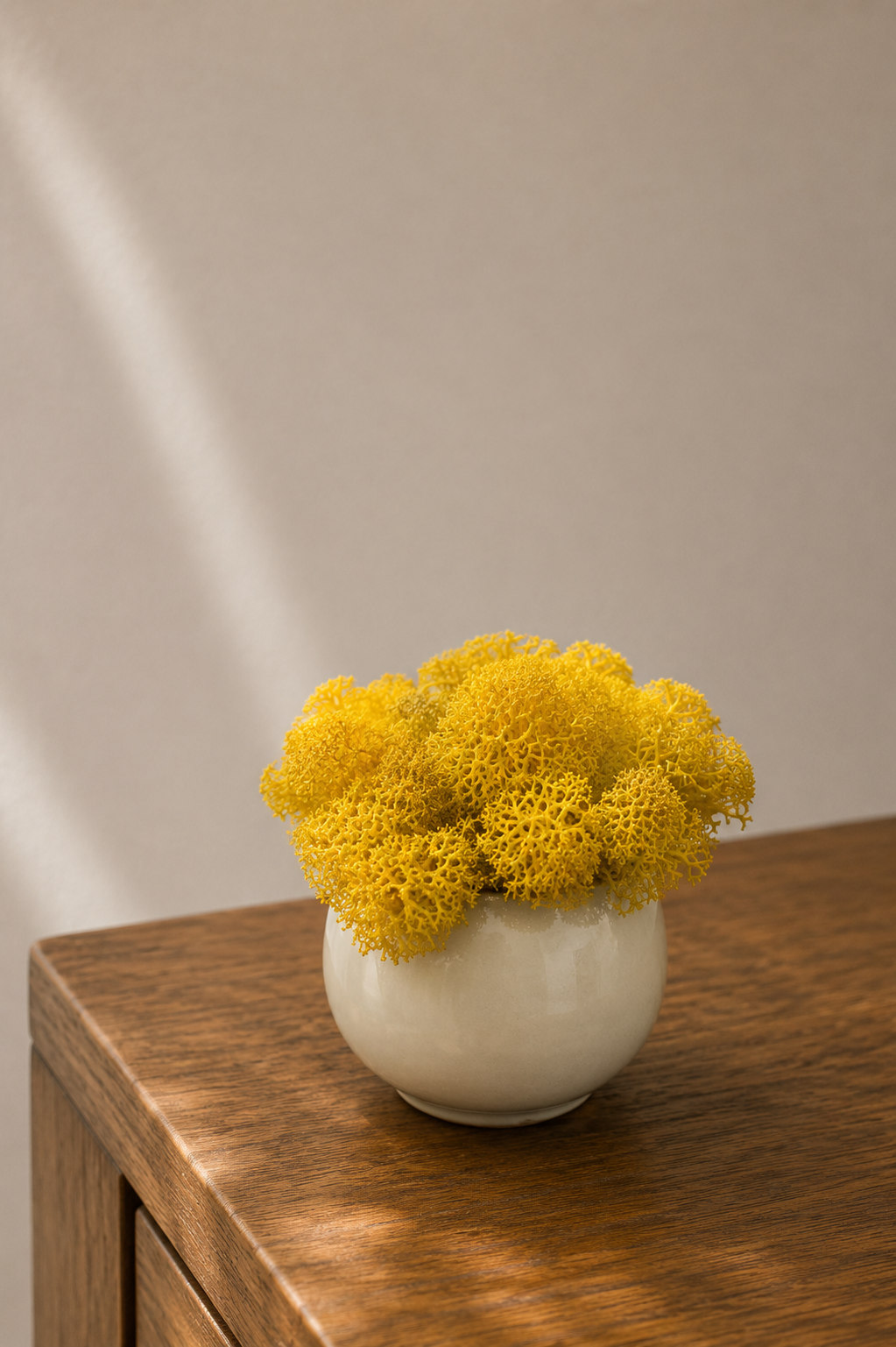 Reindeer moss