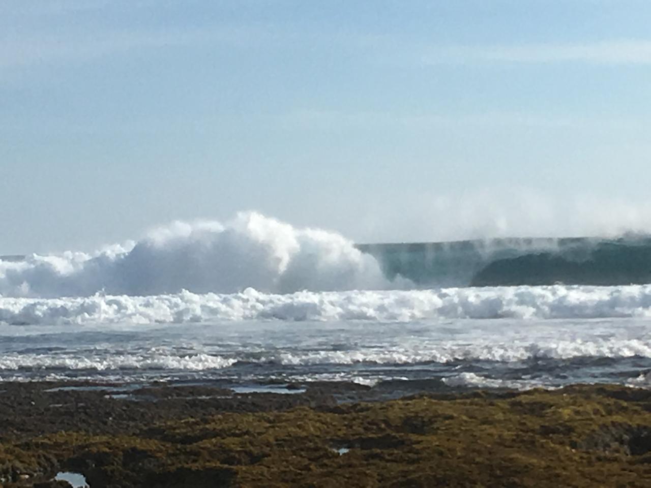 Wave