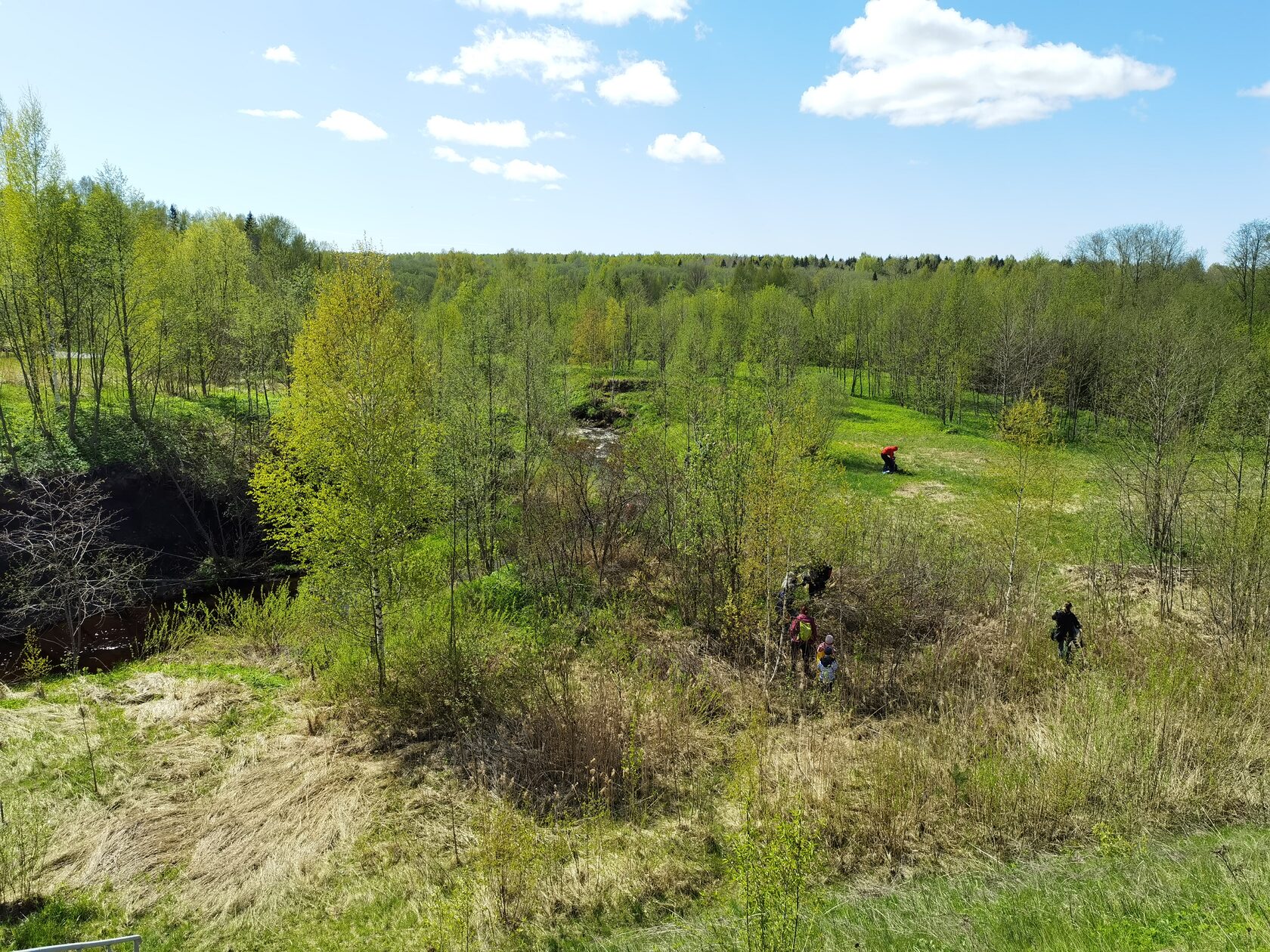 Геологическое прошлое города Рыбинска и окрестности | Paleo-Tours