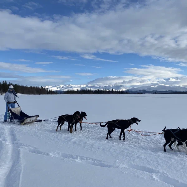 Охота за северным сиянием в Мурманске тур