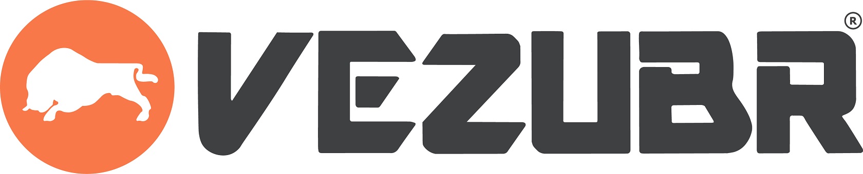 Официальный запуск нового агрегатора Vezubr намечен на март этого года