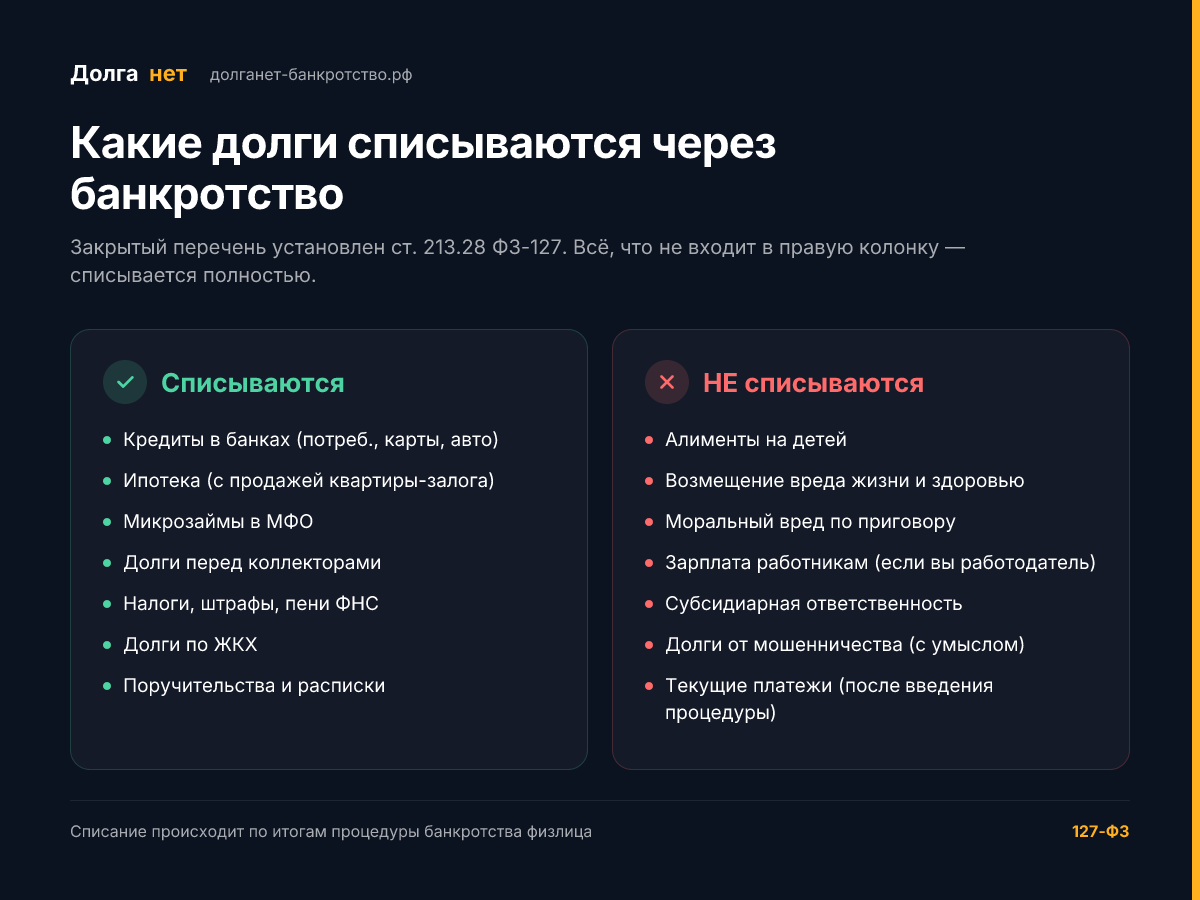 Инфографика: какие долги списываются через банкротство, а какие нет — по статье 213.28 ФЗ-127