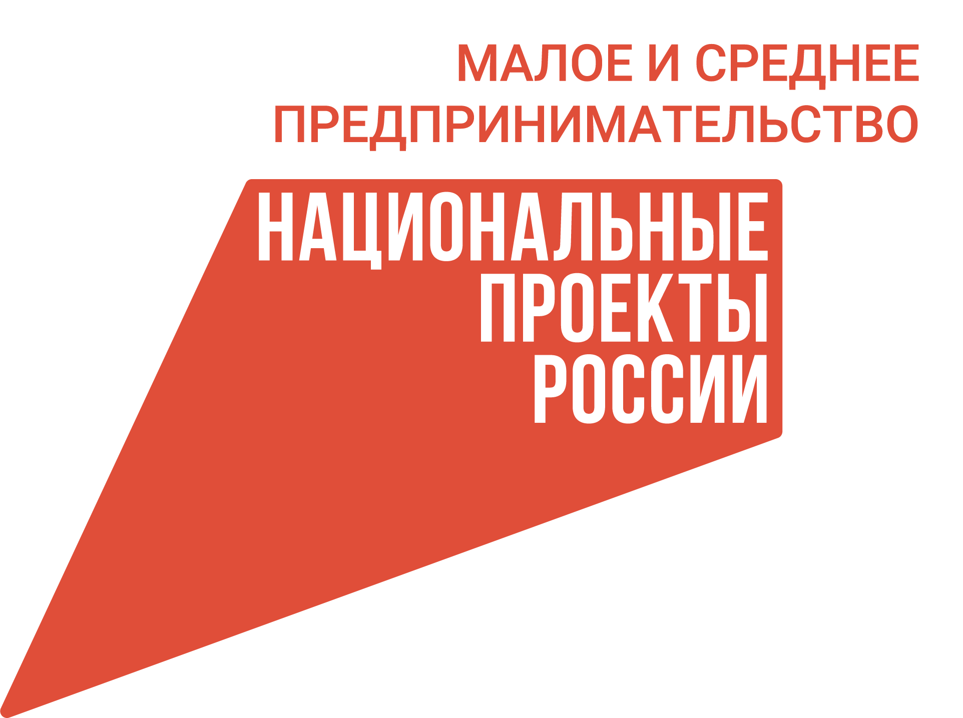 национальные проекты