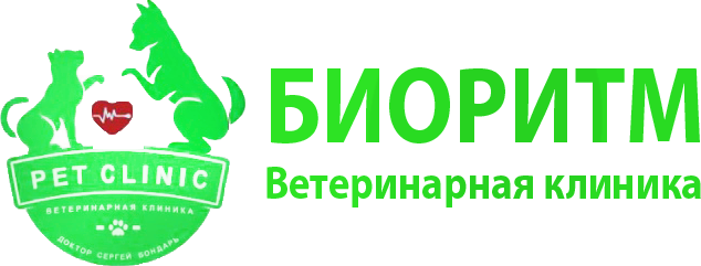 Ветклиника казань