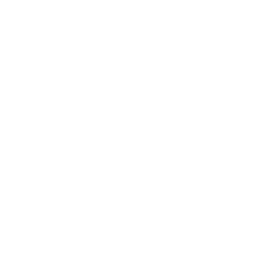 website icon