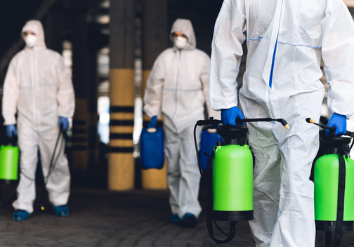 Лицензия на дератизацию и дезинсекцию LC consult - лицензии ...