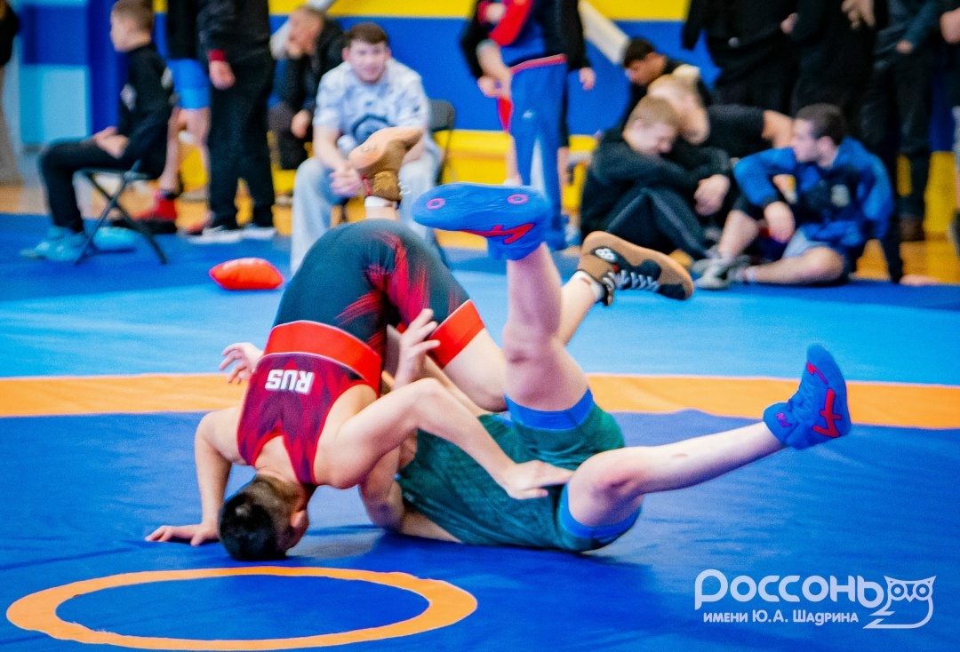 Спортивные соревнования памяти основателя вольной борьбы Кингисеппского района В. М. Седюка