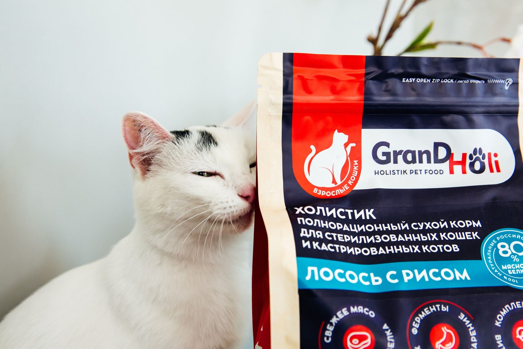 кошка перестала есть