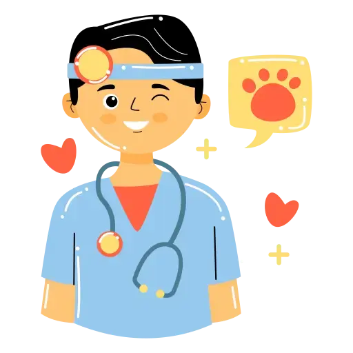 Экспертная ветеринарная консультация онлайн без стресса для животного