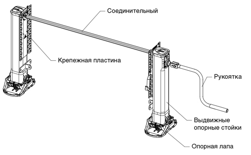 Общие характеристики лап, составные части 