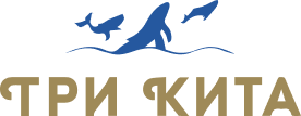 Три Кита