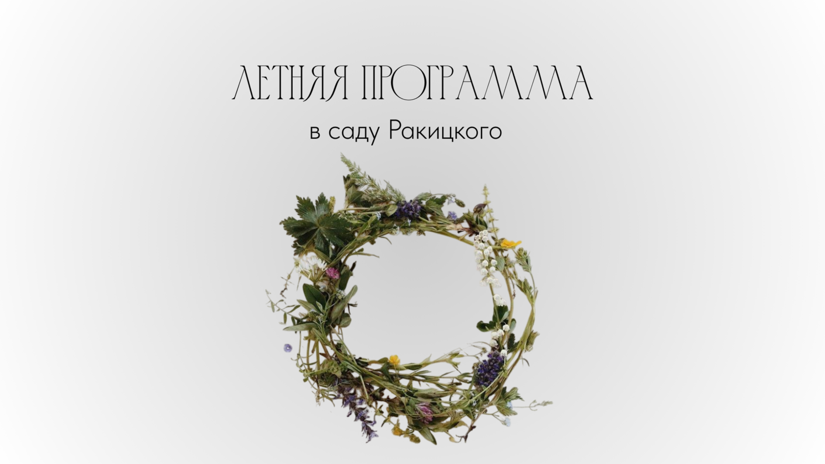 Таруса, сад Ракицкого, куда съездить летом, праздник Ивана Купалы, экскурсии в Тарусе